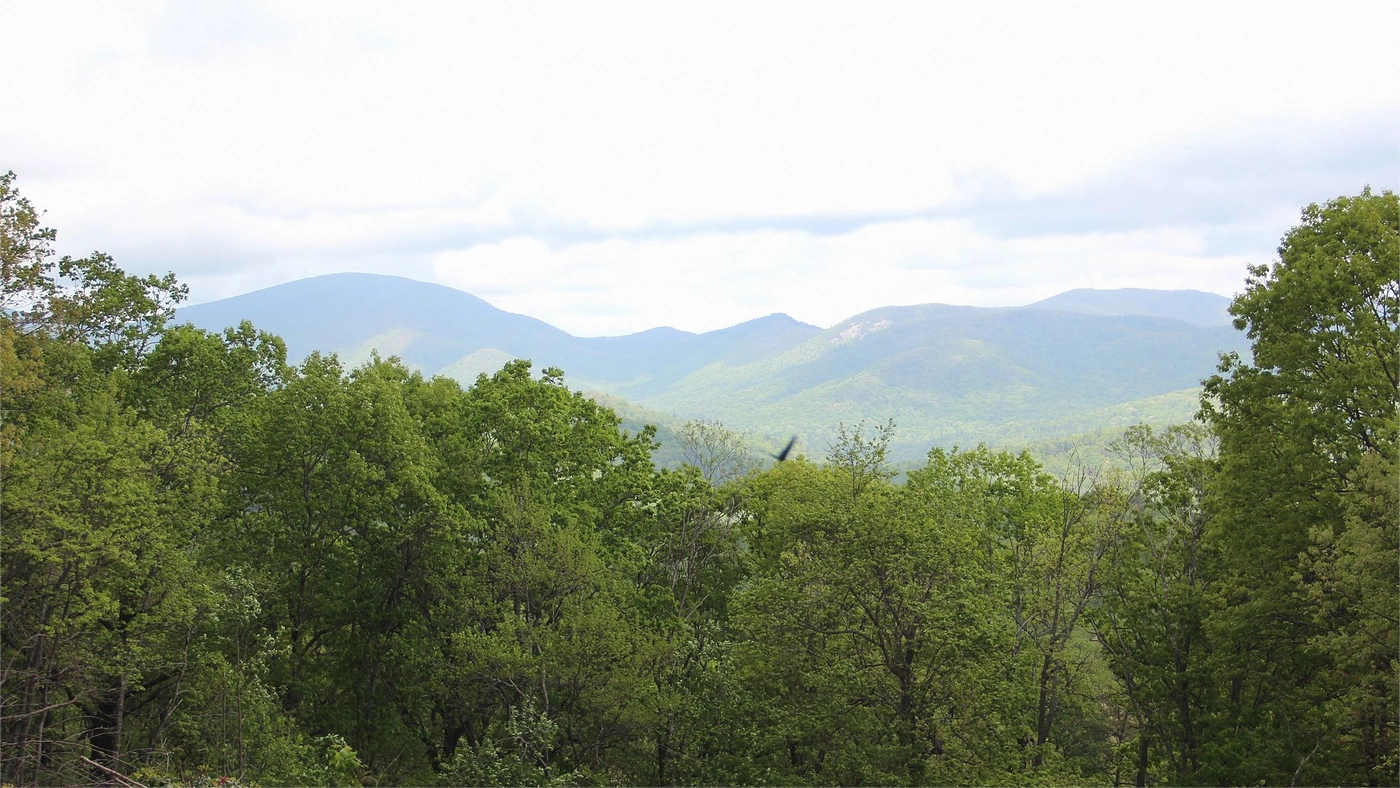 How to Sell Land Without a Realtor in Georgia Georgia land guide