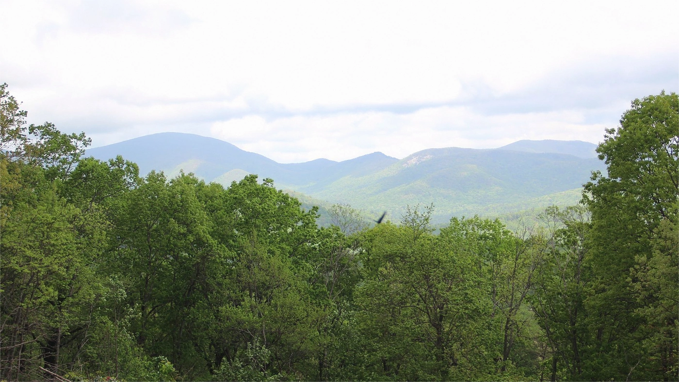 How to Sell Land Without Clear Title in Georgia Georgia land guide