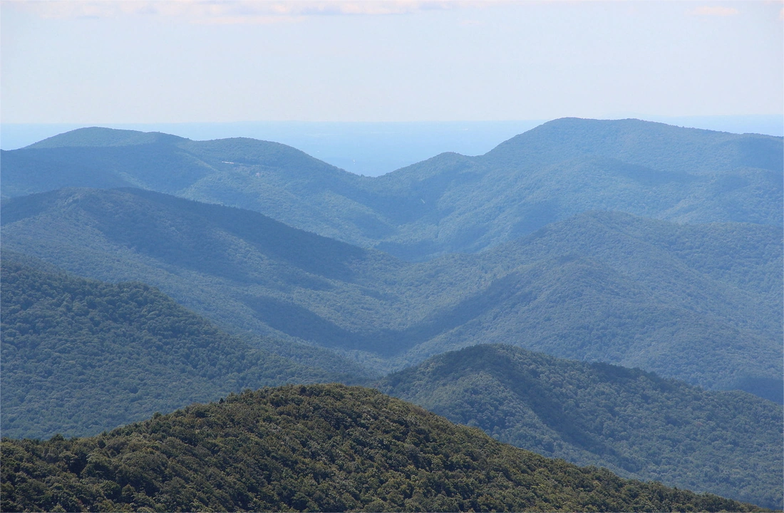 Georgia land offer review for How to Sell Your Land Fast in Georgia