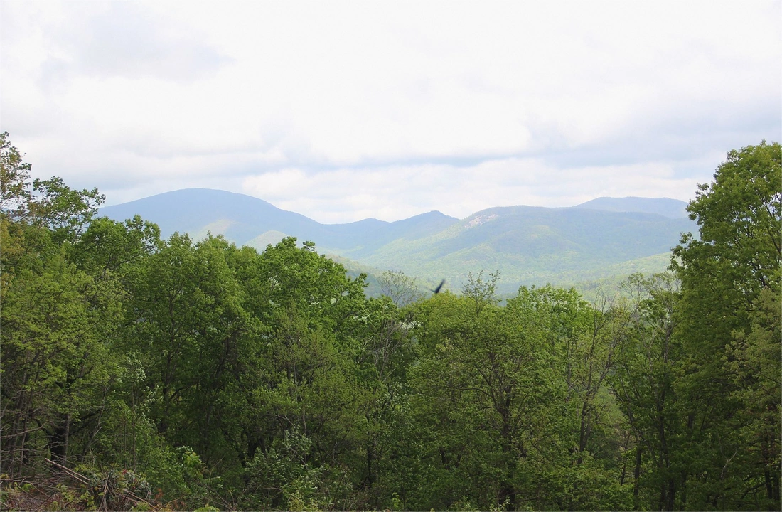 Georgia land parcel records for Sell Land to a Developer in Georgia